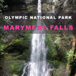 Must-See Olympic National Park Destinations. Marymere Falls Nature Trail Olympic National Park. waterfall hikes near Seattle.