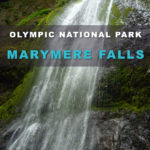 Marymere Falls - Easy Hike in Olympic National Park