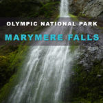 Easy Day Hikes in the Rainforest of Olympic National Park. Great hikes for kids in Washington state best family-friendly trails. Marymere Falls.