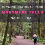 Easy Day Hikes in the Rainforest of Olympic National Park. Great hikes for kids in Washington state best family-friendly trails. Marymere Falls.