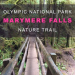 Easy Day Hikes in the Rainforest of Olympic National Park. Great hikes for kids in Washington state best family-friendly trails. Marymere Falls.