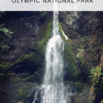 Hiking in washington state. Trails with waterfalls. Marymere Falls Olympic National Park
