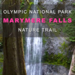 Hiking in washington state. Trails with waterfalls. Marymere Falls Olympic National Park