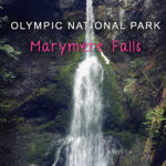 Fun fact: Marymere Falls was named after Mary Alice Barnes. Mary was the sister of Charles Barnes, who was a part of the 1889-90 Press Expedition, exploring the Olympic interior. Barnes’s family lived along the creek you passed over to reach the falls. That creek was also renamed Barnes Creek in honor of Charles Barnes.