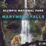Marymere Falls - Easy Hike in Olympic National Park Marymere Falls is a 90-foot-high waterfall located near Lake Crescent in Olympic National Park, Washington State. This easy 1.5 mile round trip hike is an extremely beginner friendly trail with a great payoff. My hiking group was able to walk at a leisurely pace, with plenty of time to stop and take pictures. We completed this hike in about an hour. For the most part this trail is flat and follows Barnes Creek through a beautiful lush old growth forest with some truly massive trees. The trail only has 500ft in elevation gain.