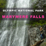 Must-See Olympic National Park Destinations. Marymere Falls Nature Trail Olympic National Park. waterfall hikes near Seattle.