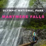 Must-See Olympic National Park Destinations. Marymere Falls Nature Trail Olympic National Park. waterfall hikes near Seattle.