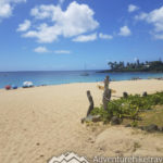 Waimea Bay Beach Park North Shore Oahu