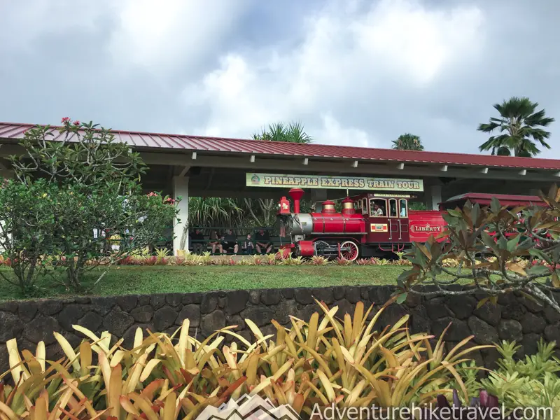 Dole Plantation Gift Shop, Train