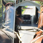 Top 12 Things To Do In Pennsylvania Amish Country See a picturesque covered bridge. The first covered bridge was built right here in Pennsylvania and Lancaster County has around 28 of them, sometimes called, “kissing bridges.” Many of the horse and buggy tours will take you through one of them.