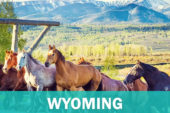 Wyoming1