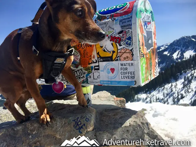Dog Friendly Trail: Mailbox Peak