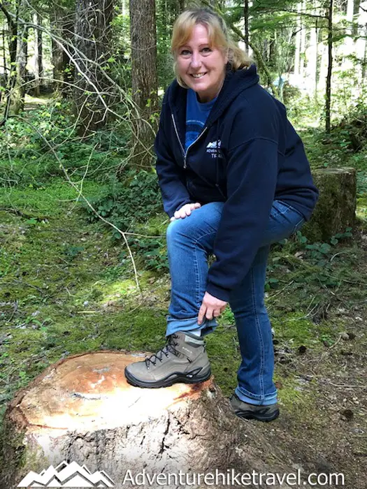 lowa renegade women's hiking boots