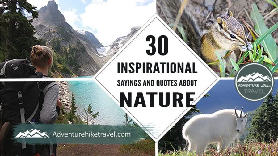 30 Inspirational Sayings and Quotes about Nature: For those who love the outdoors and the beautiful world around them, we have collected 30 Inspirational Sayings and Quotes about Nature. In this fast-paced society, we sometimes forget how refreshing it can be to take a step back and reconnect with our natural surroundings. To just unplug from the hustle and bustle can be refreshing. Hopefully, after reading these quotes you will be inspired to turn off your phone, go outside, and take a moment to enjoy the natural beauty of the earth.