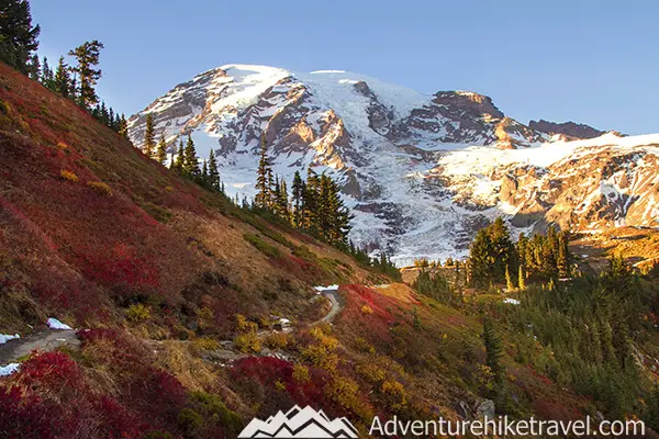 Are you one of the many people who have only visited Mt. Rainier National park during the summer months? Then you have been missing out! Mt. Rainier in the fall is absolutely stunning. The mountain is lit with fiery fall colors. Blazing golds, deep reds, vibrant yellows all painting the hills and valleys before this sleeping giant. If you have yet to experience this intense dramatic fall landscape we have put together 5 Reasons You Should Visit Mt. Rainier in the Fall.