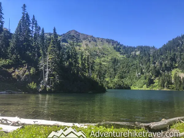 Milk Lake is a Hidden Gem in Olympic National Park Just a Short Hike Past Upper Lena Lake. If you have hiked all the way out to Upper Lena Lake and are still up for more hiking make sure you don't miss Milk Lake. This tiny glacier-fed lake is absolutely stunning with its turquoise blue waters. The vibrant colors of the lake in contrast with the lush green meadow filled with Avalanche Lillys is definitely an Olympic National Park must-see for those who are up for the challenge of backpacking for miles over rugged terrain.