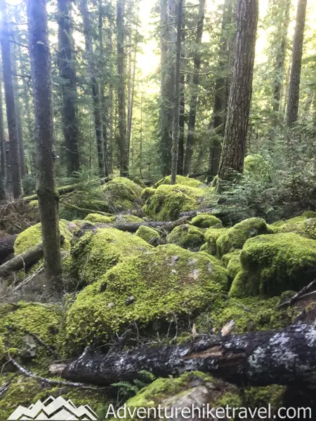 Lower Lena and Upper Lena Lake Trail. Soon after passing this moss-laden landscape you will cross some rustic wooden bridges through the woods. Next, you will come across a gigantic boulder that towers above the trail. There are several small boulders underneath this huge rock where people often sit to take a rest break and eat a snack. After the massive boulder, there is a larger wooden bridge going over a small stream.