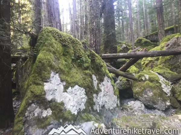 Lower Lena and Upper Lena Lake Trail. Soon after passing this moss-laden landscape you will cross some rustic wooden bridges through the woods. Next, you will come across a gigantic boulder that towers above the trail. There are several small boulders underneath this huge rock where people often sit to take a rest break and eat a snack. After the massive boulder, there is a larger wooden bridge going over a small stream.