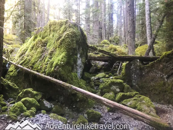 Lower Lena and Upper Lena Lake Trail. Soon after passing this moss-laden landscape you will cross some rustic wooden bridges through the woods. Next, you will come across a gigantic boulder that towers above the trail. There are several small boulders underneath this huge rock where people often sit to take a rest break and eat a snack. After the massive boulder, there is a larger wooden bridge going over a small stream.