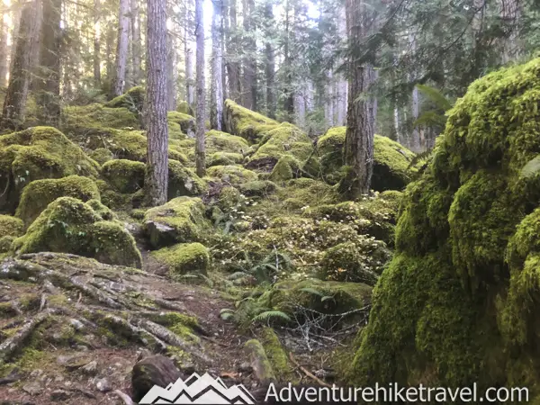 Lower Lena and Upper Lena Lake Trail. Soon after passing this moss-laden landscape you will cross some rustic wooden bridges through the woods. Next, you will come across a gigantic boulder that towers above the trail. There are several small boulders underneath this huge rock where people often sit to take a rest break and eat a snack. After the massive boulder, there is a larger wooden bridge going over a small stream.