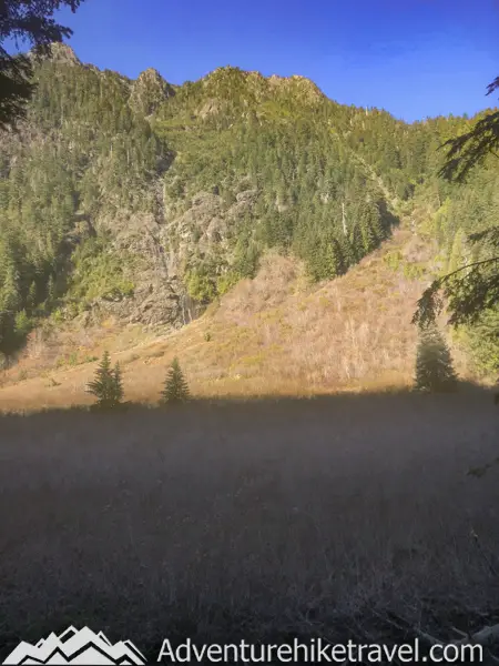 Brushy meadow along trail to Upper Lena Lake