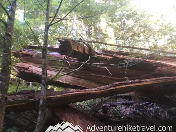 Upper Lena Lake Trail