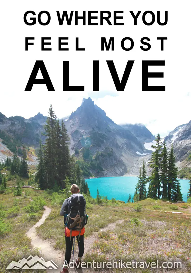 "Go where you feel most alive."