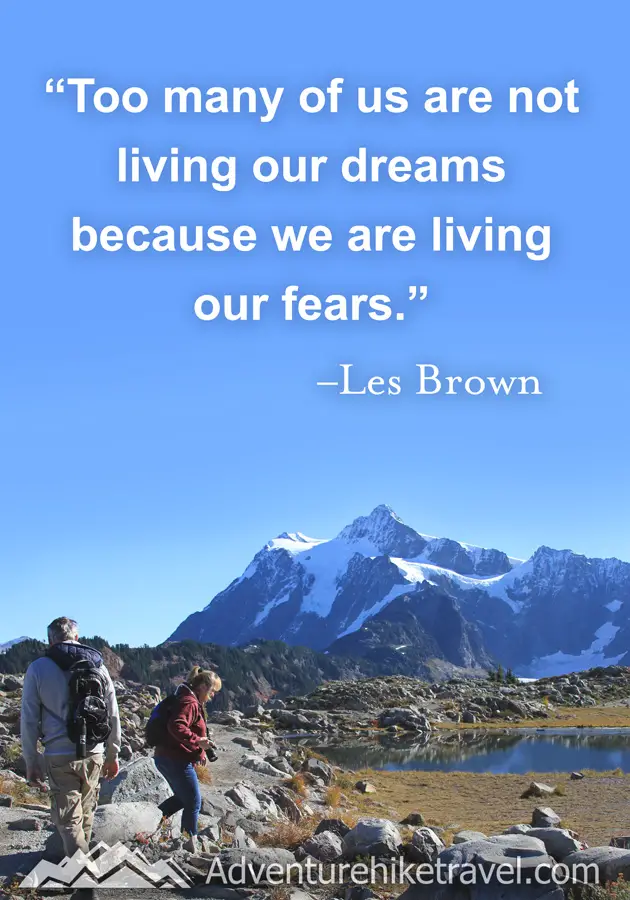 Too many of us are not living our dreams because we are living our fears." -Les Brown