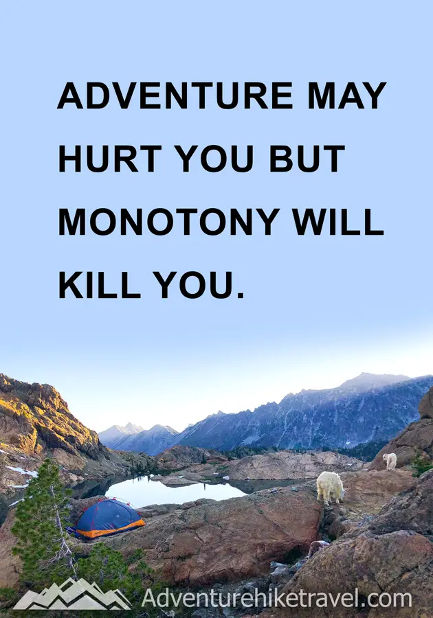 Adventure may hurt you but Monotony will kill you.