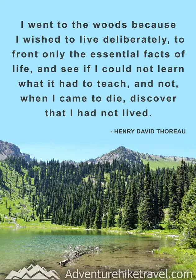 “I went to the woods because I wished to live deliberately, to front only the essential facts of life, and see if I could not learn what it had to teach, and not when I came to die, discover that I had not lived." - Henry David Thoreau #hiking #quotes #inspirationalquotes #hikingquotes #adventurequotes #outdoors #trekking