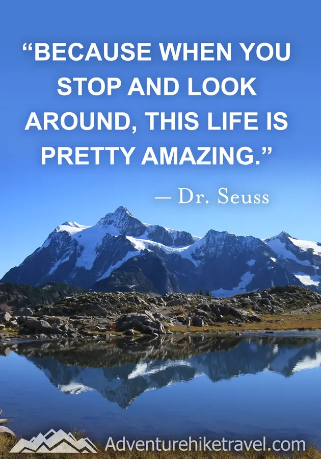 "Because when you stop and look around, this life is pretty amazing." - Dr. Seuss #hiking #quotes #inspirationalquotes #hikingquotes #adventurequotes #outdoors #trekking