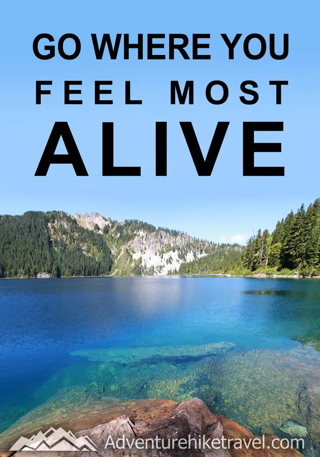 Go Where You Feel Most Alive #hiking #quotes #inspirationalquotes #hikingquotes #adventurequotes #outdoors #trekking