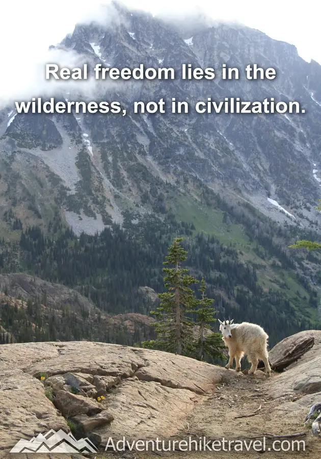 "Real freedom lies in the wilderness, not in civilization." #hiking #quotes #inspirationalquotes #hikingquotes #adventurequotes #outdoors #trekking