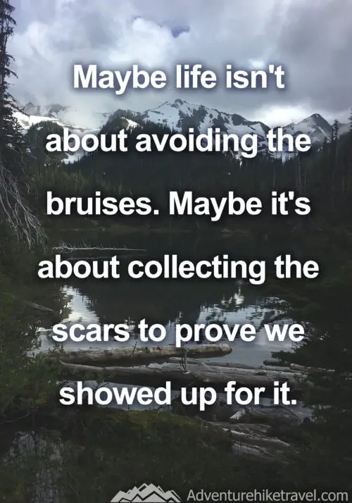 Maybe life isn't about avoiding the bruises. Maybe it's about collecting the scars to prove we showed up for it #hiking #quotes #inspirationalquotes #hikingquotes #adventurequotes #outdoors #trekking