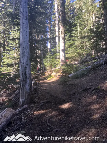 The Trail: The trail to High Rock Lookout is basically straight up. You quickly gain 1,365 feet of elevation within a span of 1.6 miles. This short little hike does not pass by any streams so make sure you bring plenty of water.