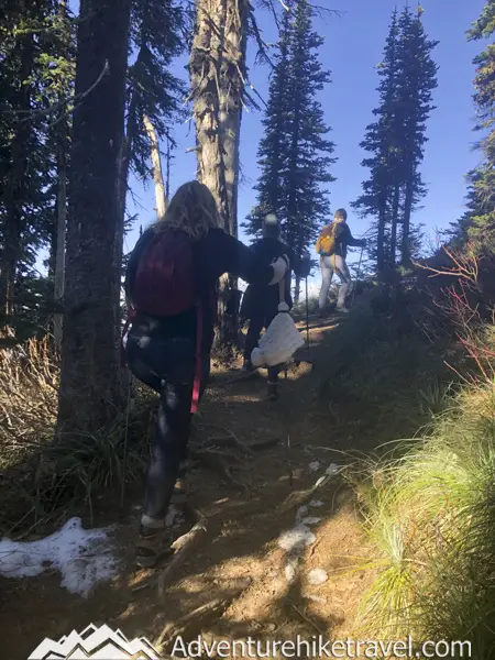 The Trail: The trail to High Rock Lookout is basically straight up. You quickly gain 1,365 feet of elevation within a span of 1.6 miles. This short little hike does not pass by any streams so make sure you bring plenty of water.