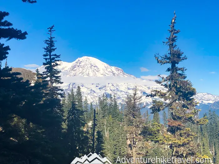 The trail is mostly forested with some gaps through the trees where at times you can see Mt. Rainier directly in front of you poking through the tree canopy. At the 1.3 mile mark, you get your first real good clear opening through the trees. At this rocky viewpoint, you can see the sprawling vista of the valley below and an up-close view of Mt. Adams.