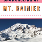 New to snowshoeing? Are you a local living in Washington State or visiting the Pacific Northwest during winter? Want something fun to do? Try snowshoeing at Mt. Rainier National Park.Our First-timer’s Guide to Snowshoeing at Mt. Rainier can give you the information you need to take off on your own snowshoeing adventure. #hiking #nature #mountains #adventure #travel #Mtrainier #traveltips #experiencewa #snowshoeing #pacificnorthwest #wastate #nationalparks #ustravel