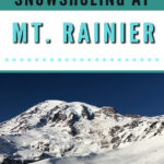 New to snowshoeing? Are you a local living in Washington State or visiting the Pacific Northwest during winter? Want something fun to do? Try snowshoeing at Mt. Rainier National Park.Our First-timer’s Guide to Snowshoeing at Mt. Rainier can give you the information you need to take off on your own snowshoeing adventure. #hiking #nature #mountains #adventure #travel #Mtrainier #traveltips #experiencewa #snowshoeing #pacificnorthwest #wastate #nationalparks #ustravel