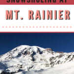 New to snowshoeing? Are you a local living in Washington State or visiting the Pacific Northwest during winter? Want something fun to do? Try snowshoeing at Mt. Rainier National Park.Our First-timer’s Guide to Snowshoeing at Mt. Rainier can give you the information you need to take off on your own snowshoeing adventure. #hiking #nature #mountains #adventure #travel #Mtrainier #traveltips #experiencewa #snowshoeing #pacificnorthwest #wastate #nationalparks #ustravel