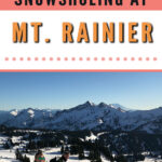 New to snowshoeing? Are you a local living in Washington State or visiting the Pacific Northwest during winter? Want something fun to do? Try snowshoeing at Mt. Rainier National Park.Our First-timer’s Guide to Snowshoeing at Mt. Rainier can give you the information you need to take off on your own snowshoeing adventure. #hiking #nature #mountains #adventure #travel #Mtrainier #traveltips #experiencewa #snowshoeing #pacificnorthwest #wastate #nationalparks #ustravel