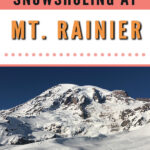 New to snowshoeing? Are you a local living in Washington State or visiting the Pacific Northwest during winter? Want something fun to do? Try snowshoeing at Mt. Rainier National Park.Our First-timer’s Guide to Snowshoeing at Mt. Rainier can give you the information you need to take off on your own snowshoeing adventure. #hiking #nature #mountains #adventure #travel #Mtrainier #traveltips #experiencewa #snowshoeing #pacificnorthwest #wastate #nationalparks #ustravel