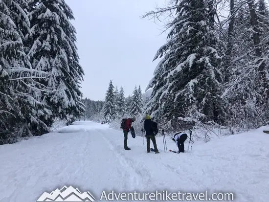 New to snowshoeing? Or just need a fun day-trip getaway? Try snowshoeing the Gold Creek Pond Trail east of Snoqualmie Pass in Washington State. With easy access just off I-90 at Exit 54, you can start snowshoeing through the tall evergreen trees on the edge of the Mount Baker-Snoqualmie National Forest just minutes after parking your car. #hiking #nature #mountains #adventure #travel #traveltips #experiencewa #snowshoeing #pacificnorthwest #wastate #nationalparks #ustravel