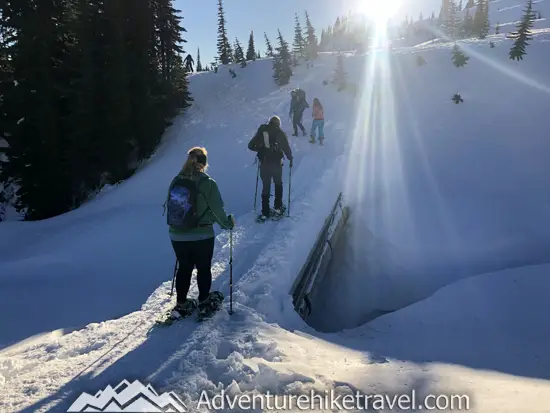 New to snowshoeing? Are you a local living in Washington State or visiting the Pacific Northwest during winter? Want something fun to do? Try snowshoeing at Mt. Rainier National Park.Our First-timer’s Guide to Snowshoeing at Mt. Rainier can give you the information you need to take off on your own snowshoeing adventure. #hiking #nature #mountains #adventure #travel #Mtrainier #traveltips #experiencewa #snowshoeing #pacificnorthwest #wastate #nationalparks #ustravel