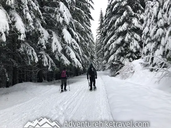 New to snowshoeing? Or just need a fun day-trip getaway? Try snowshoeing the Gold Creek Pond Trail east of Snoqualmie Pass in Washington State. With easy access just off I-90 at Exit 54, you can start snowshoeing through the tall evergreen trees on the edge of the Mount Baker-Snoqualmie National Forest just minutes after parking your car. #hiking #nature #mountains #adventure #travel #traveltips #experiencewa #snowshoeing #pacificnorthwest #wastate #nationalparks #ustravel