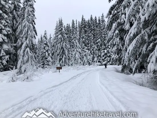 New to snowshoeing? Or just need a fun day-trip getaway? Try snowshoeing the Gold Creek Pond Trail east of Snoqualmie Pass in Washington State. With easy access just off I-90 at Exit 54, you can start snowshoeing through the tall evergreen trees on the edge of the Mount Baker-Snoqualmie National Forest just minutes after parking your car. #hiking #nature #mountains #adventure #travel #traveltips #experiencewa #snowshoeing #pacificnorthwest #wastate #nationalparks #ustravel