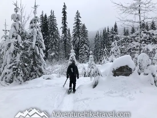 New to snowshoeing? Or just need a fun day-trip getaway? Try snowshoeing the Gold Creek Pond Trail east of Snoqualmie Pass in Washington State. With easy access just off I-90 at Exit 54, you can start snowshoeing through the tall evergreen trees on the edge of the Mount Baker-Snoqualmie National Forest just minutes after parking your car. #hiking #nature #mountains #adventure #travel #traveltips #experiencewa #snowshoeing #pacificnorthwest #wastate #nationalparks #ustravel