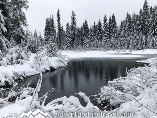 New to snowshoeing? Or just need a fun day-trip getaway? Try snowshoeing the Gold Creek Pond Trail east of Snoqualmie Pass in Washington State. With easy access just off I-90 at Exit 54, you can start snowshoeing through the tall evergreen trees on the edge of the Mount Baker-Snoqualmie National Forest just minutes after parking your car. #hiking #nature #mountains #adventure #travel #traveltips #experiencewa #snowshoeing #pacificnorthwest #wastate #nationalparks #ustravel