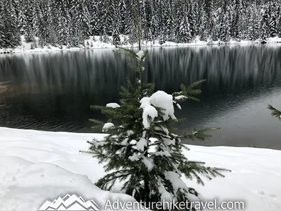 New to snowshoeing? Or just need a fun day-trip getaway? Try snowshoeing the Gold Creek Pond Trail east of Snoqualmie Pass in Washington State. With easy access just off I-90 at Exit 54, you can start snowshoeing through the tall evergreen trees on the edge of the Mount Baker-Snoqualmie National Forest just minutes after parking your car. #hiking #nature #mountains #adventure #travel #traveltips #experiencewa #snowshoeing #pacificnorthwest #wastate #nationalparks #ustravel