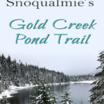 New to snowshoeing? Or just need a fun day-trip getaway? Try snowshoeing the Gold Creek Pond Trail east of Snoqualmie Pass in Washington State. With easy access just off I-90 at Exit 54, you can start snowshoeing through the tall evergreen trees on the edge of the Mount Baker-Snoqualmie National Forest just minutes after parking your car. #hiking #nature #mountains #adventure #travel #traveltips #experiencewa #snowshoeing #pacificnorthwest #wastate #nationalparks #ustravel